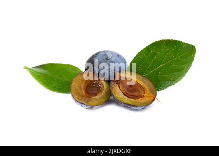 plum isolated on white background Stock Photo