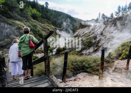 Steam drifting from some of the hot springs in the Wairakei Natural Thermal Valley which is off the Thermal Explorer Highway (State Highway 5) between Stock Photo