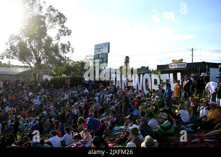 Tamworth witnesses superb match between Wests Tigers and Knights