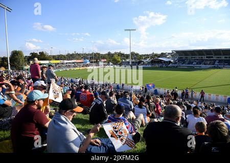 Tamworth witnesses superb match between Wests Tigers and Knights