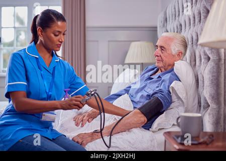 Senior Man At Home In Bed Having Blood Pressure Taken By Female Care Worker In Uniform Stock Photo