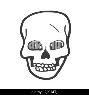Scull in doodle style. Hand drawn illustration. Stock Vector
