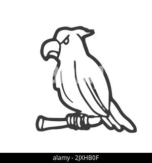 Doodle Parrot in vector. Sketch Stock Vector