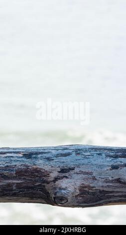 Vertical dark brown narrow plank log hard wood bark surface texture stem background sea empty board Stock Photo