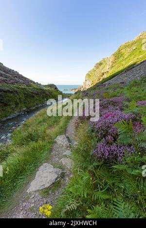 The Heddon Valley in late summer with Heddon’s Mouth beyond in the Exmoor National Park, North Devon, England. Stock Photo