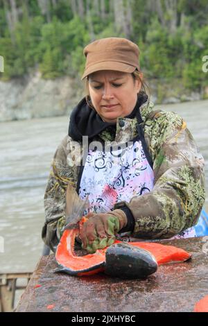 Fishermen gut a clean salmon Photographed in Alaska, USA Stock Photo