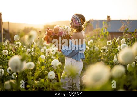 Woman with dahlias at flower farm Stock Photo - Alamy