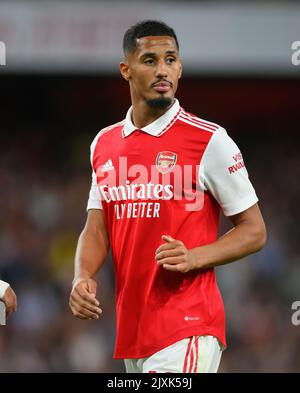 31 Aug 2022 - Arsenal v Aston Villa - Premier League - Emirates Stadium  Arsenal's William Saliba during the match at the Emirates Stadium. Picture : Mark Pain / Alamy Stock Photo