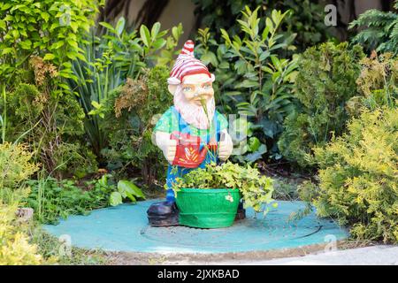 Russia, Sochi 15.05.2022. Decorative gnome in garden with a watering can Stock Photo