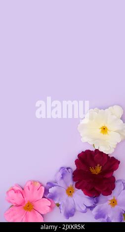 Easter Still Life Arrangement With Spring Flowers On Purple Background Stock Photo