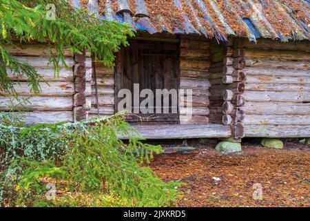 Log cabin in the woodland Stock Photo
