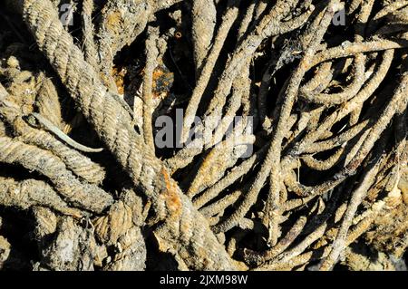 A closeup shot of naval ropes tangled with one another Stock Photo