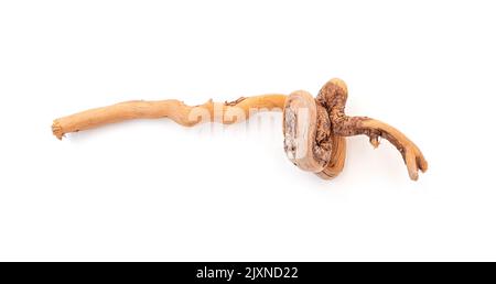 Wooden snag, driftwood isolated on white Stock Photo