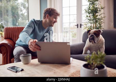 Man Working From Home On Laptop Sitting With Pet Bulldog On Armchair Stock Photo
