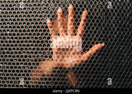 stop violence female protest textured woman hand Stock Photo