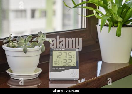 Thermometer hygrometer measuring the optimum temperature and humidity in a house on windowsill with houseplants closeup Stock Photo