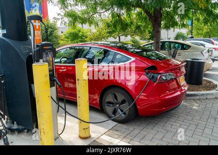 A Tesla electric vehicle is charged at a public charging station in Brooklyn in New York on Saturday, September 3, 2022. (© Richard B. Levine) Stock Photo