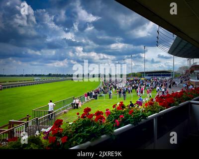 Kempton Park Racecourse II Stock Photo