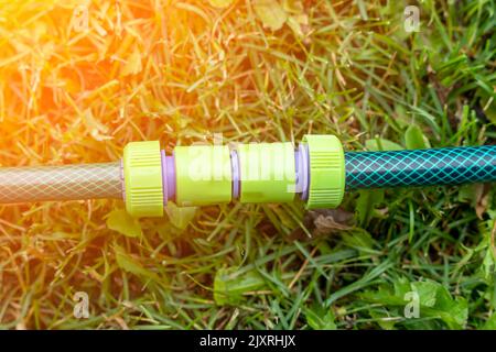 the plastic connector for the watering hose lies on the green grass Stock Photo