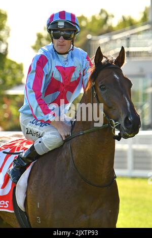 Jockey Mark Zahra returns to scale after riding Tides to victory in ...