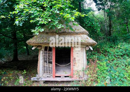 Small food store /grain store at Bryn Eryr Iron Age Roundhouses, St Fagans National History Museum. Summer 2022. August. Stock Photo