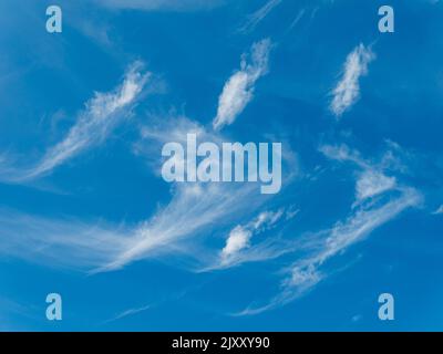High wispy white cirrus mare's tail clouds against blue sky, UK Stock Photo