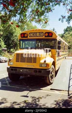 Yellow American school bus converted into a rum distillery, Dartington Cider Press, Devon, England, United Kingdom. Stock Photo