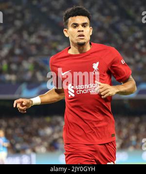 Naples, Campania, Italy. 7th Sep, 2022. During the Champions League Football match SSC Napoli vs FC Liverpool on September 07, 2022 at the Diego Armando Maradona stadium in Naples.In picture: Luis Diaz of Liverpool FC (Credit Image: © Fabio Sasso/ZUMA Press Wire) Credit: ZUMA Press, Inc./Alamy Live News Stock Photo