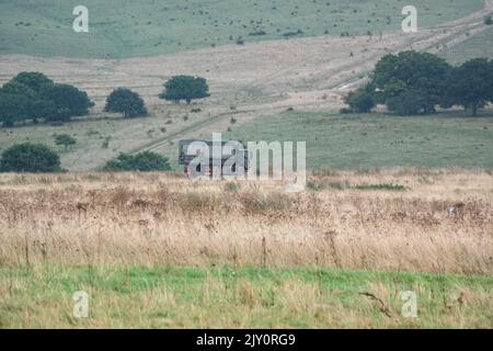 British army MAN HX60 4x4 Utility Truck in action on a military exercise Stock Photo