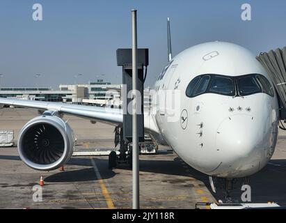MUNICH, GERMANY - SEPTEMBER 7: Lufthansa Airbus wing with docked Lufthansa planes at the Gates of Munich Airport on September 7, 2022 in Munich Stock Photo