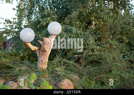 Two round electric white lamps in the form of a ball are mounted on a tree trunk in a park. Modern technologies and natural natural material harmoniou Stock Photo
