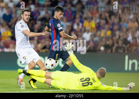 Barcelona, Spain. 07th Sep, 2022. Pedri of FC Barcelona during the UEFA Champions League match between FC Barcelona and Viktoria Plzen at Camp Nou in Barcelona, Spain. Credit: DAX Images/Alamy Live News Stock Photo