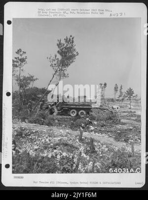 Personnel Of The 1878Th Engineer Aviation Battalion Felling Trees. This Area Is Being Cleared For New Stone Quarry On Okinawa, Ryukyu Retto. 18 May 1945. Stock Photo