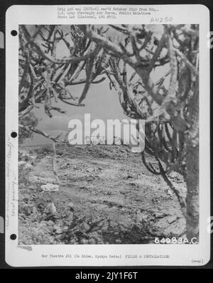 The Natural Arch Of A Cactus Frames This View Of A Caterpillar Tractor Dragging A 'Pan' Which Is Clearing The Surface Soil From Area Where A Huge Coral Pit Will Be Dug On Ie Shima, Ryukyu Retto. 30 April 1945. Stock Photo
