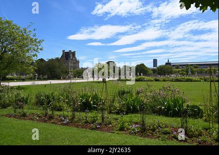 Paris, France. June 2022. Tuileries is the oldest garden in the heart of Paris. Here people come to stroll along the long avenues that line the greene Stock Photo