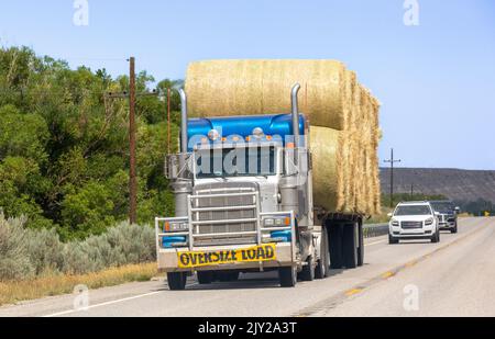 Tractor-trailer semi-truck transporting an oversize load of round hay bales in Carbon County near Belfry, Montana Stock Photo