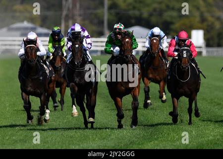 Jockey Sean Cormack rides Smartypy (centre) to victory in race 3, the ...