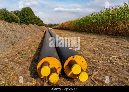 Laying of district heating pipes, next to a field, with maize, the district heating comes from a biogas plant and is piped directly to households in t Stock Photo