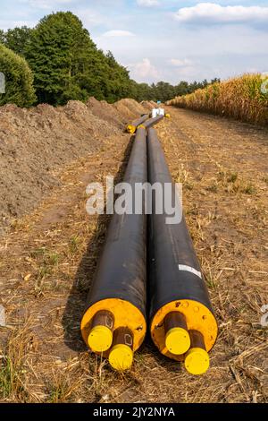 Laying of district heating pipes, next to a field, with maize, the district heating comes from a biogas plant and is piped directly to households in t Stock Photo