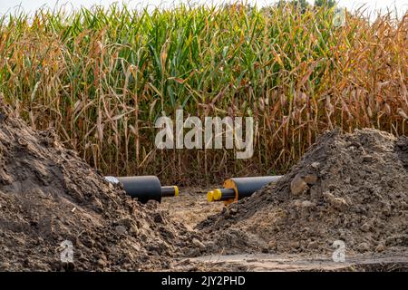 Laying of district heating pipes, next to a field, with maize, the district heating comes from a biogas plant and is piped directly to households in t Stock Photo