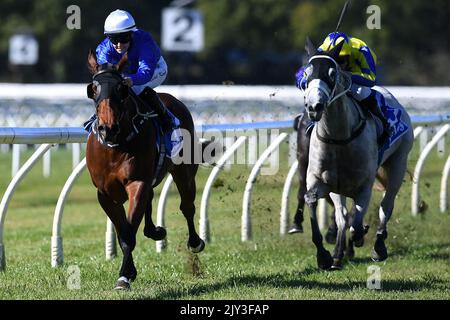 Jockey Rachel King Rides Special Snap To Victory In Race 1 The Shooting ...