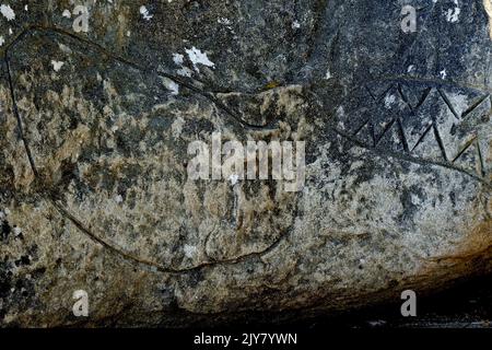 Ancient prehistoric petroglyph carved by the First Nations people on the coast of Vancouver Island British Columbia Canada. Stock Photo