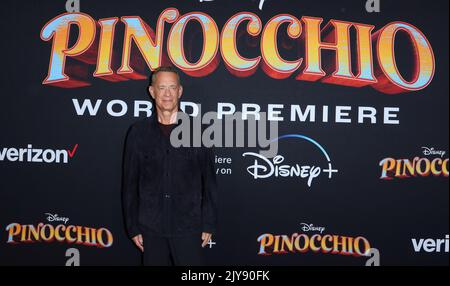 Burbank, USA. 07th Sep, 2022. Tom Hanks arrives at The Disney Pinocchio World Premiere held at The Main Theater, Walt Disney Studios in Burbank, CA on Wednesday, September 7, 2022 . (Photo By Juan Pablo Rico/Sipa USA) Credit: Sipa USA/Alamy Live News Stock Photo