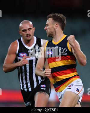 Brodie Smith of the Crows celebrates his goal with Taylor Walker