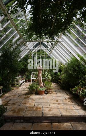 Greenhouse with terracotta statue Stock Photo