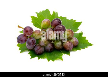 Red grapes isolated on white background Stock Photo