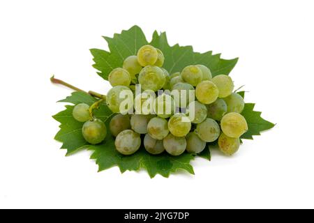 White grapes isolated on white background Stock Photo