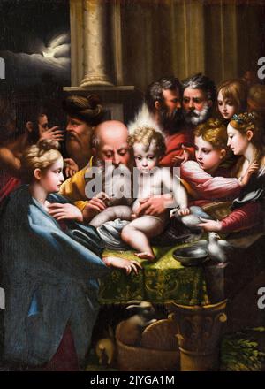 Girolamo Francesco Maria Mazzola called Parmigianino, The Circumcision, painting in oil on panel, 1520-1529 Stock Photo