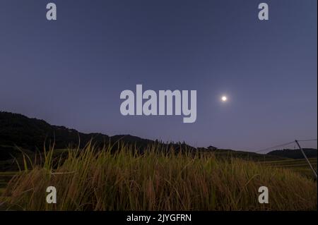 Congjiang, Congjiang, China. 8th Sep, 2022. On the evening of September 6, 2022, a starry sky map of terraced fields in Cenfeng Village, Cuili Yao and Zhuang Township, Congjiang County, Guizhou Province.In the golden autumn season, the terraced fields of Cenfeng Village, Cuili Yao and Zhuang Township, Cuili Yao and Zhuang Township, Congjiang County, Qiandongnan Miao and Dong Autonomous Prefecture, Guizhou Province are high in the sky, and the night falls. A beautiful and quiet rural autumn starry sky map. (Credit Image: © SIPA Asia via ZUMA Press Wire) Stock Photo