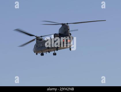 An RAF Chinook helicopter from Odiham displays at the 2022 Royal International Air Tattoo Stock Photo